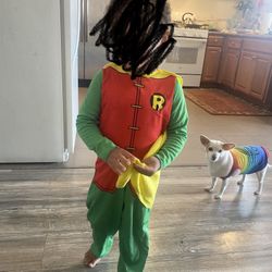 Robin, Batman Girl Costumes 