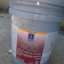 Pintura  De 5 Galones 