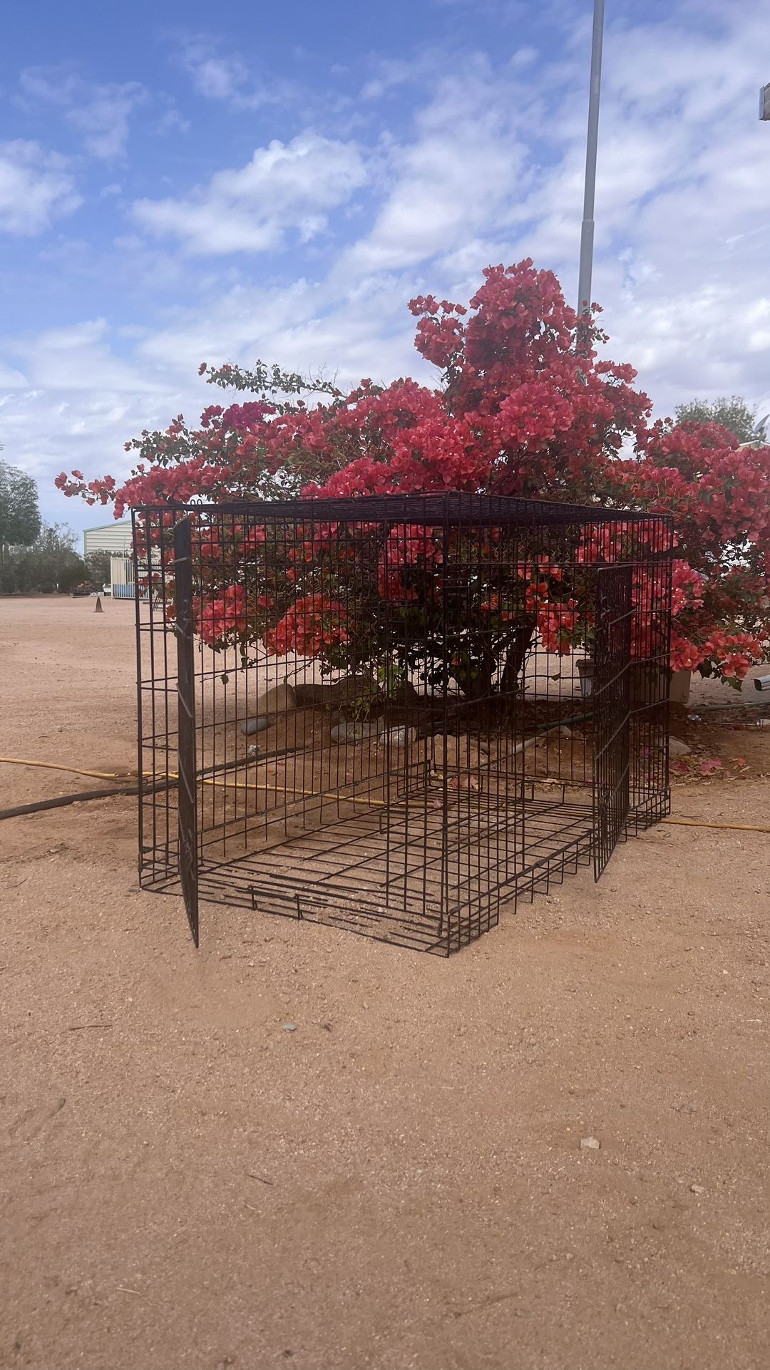 Dog Kennel