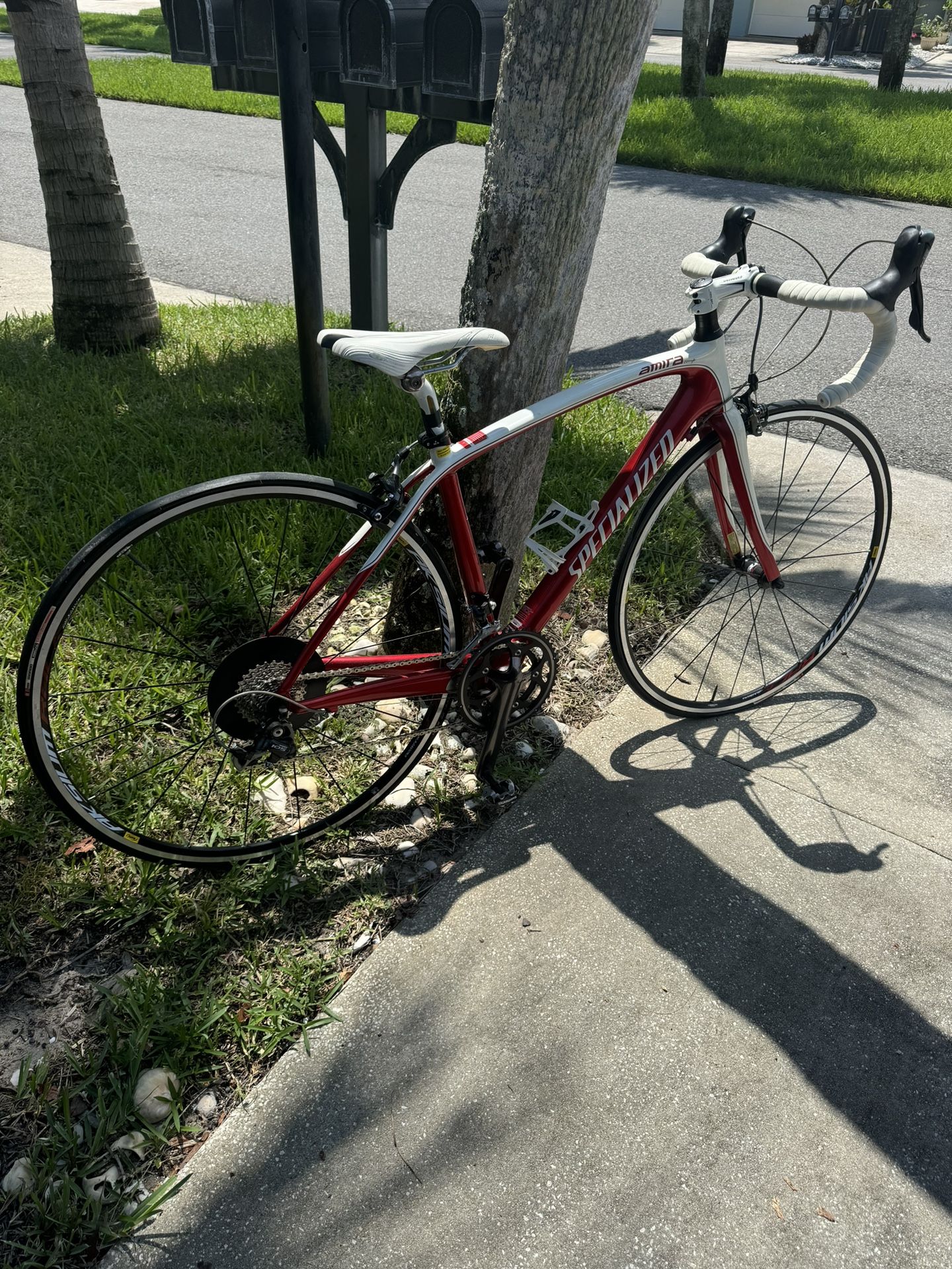 Road Bicycle Amira Specialized