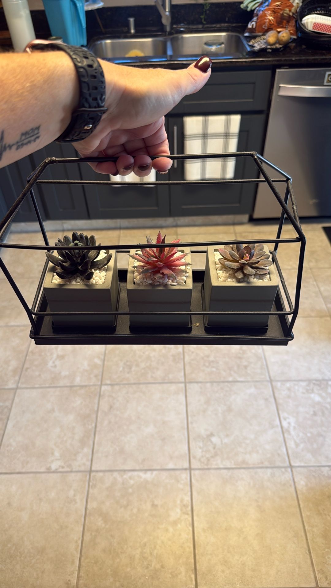 Fake Succulents Decor