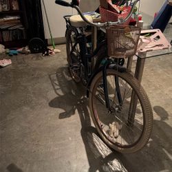 Amazing Nel Lusson Bike With Basket