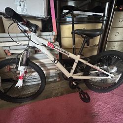 Kids mountain Bike