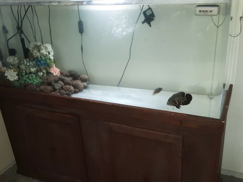 125 Gallon Acrylic Fish Tank/Aquarium with Wooden Stand