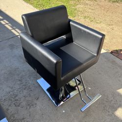 Salon Chair