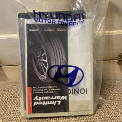 Hyundai Ionia 6 Owners Manual