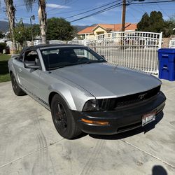 2006 mustang