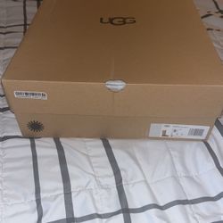 Bailey Chestnut Brown size 8