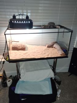 Big Reptile Tank