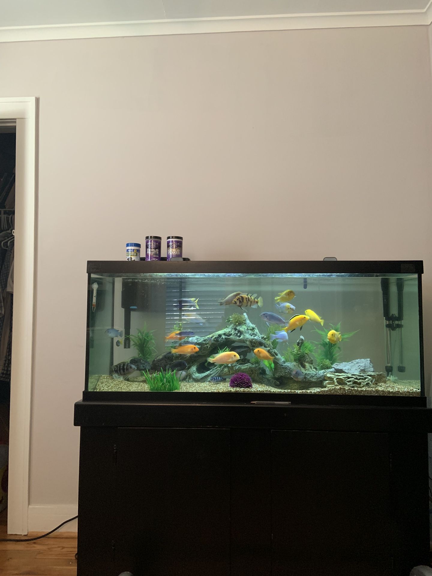 75 Gallon Aquarium