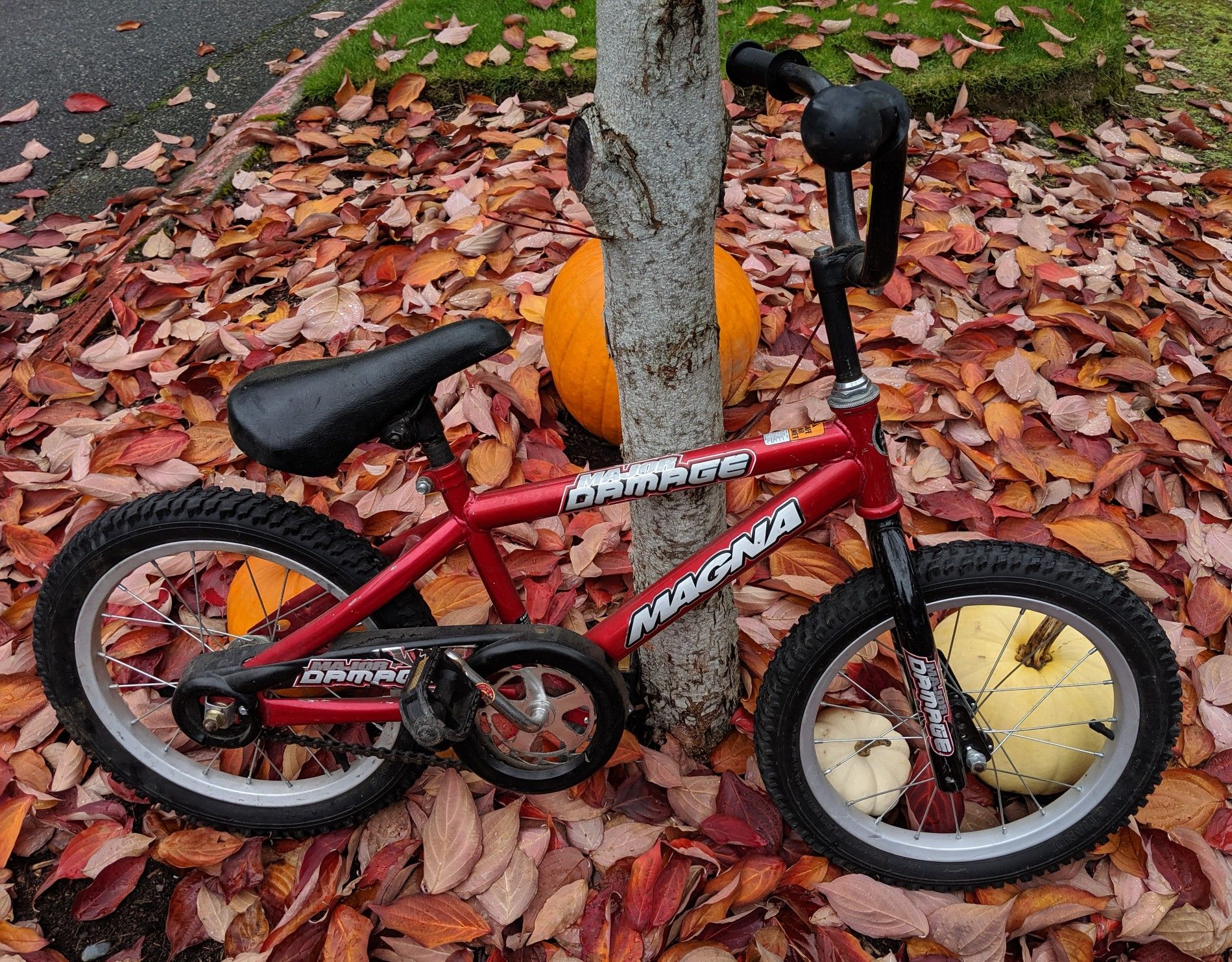 Bicycle, Kids bike, two wheels