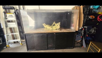 Aquarium 250 gallons