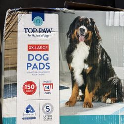 Puppy Dog Training Pee Pads Full Box 250 Qty