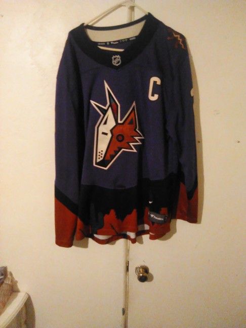 Arizona Coyotes Reverse Retro