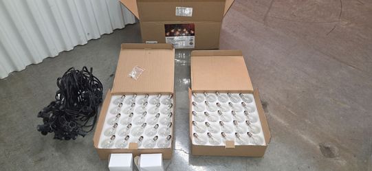 Brighton Clear G40 Globe String Light Set