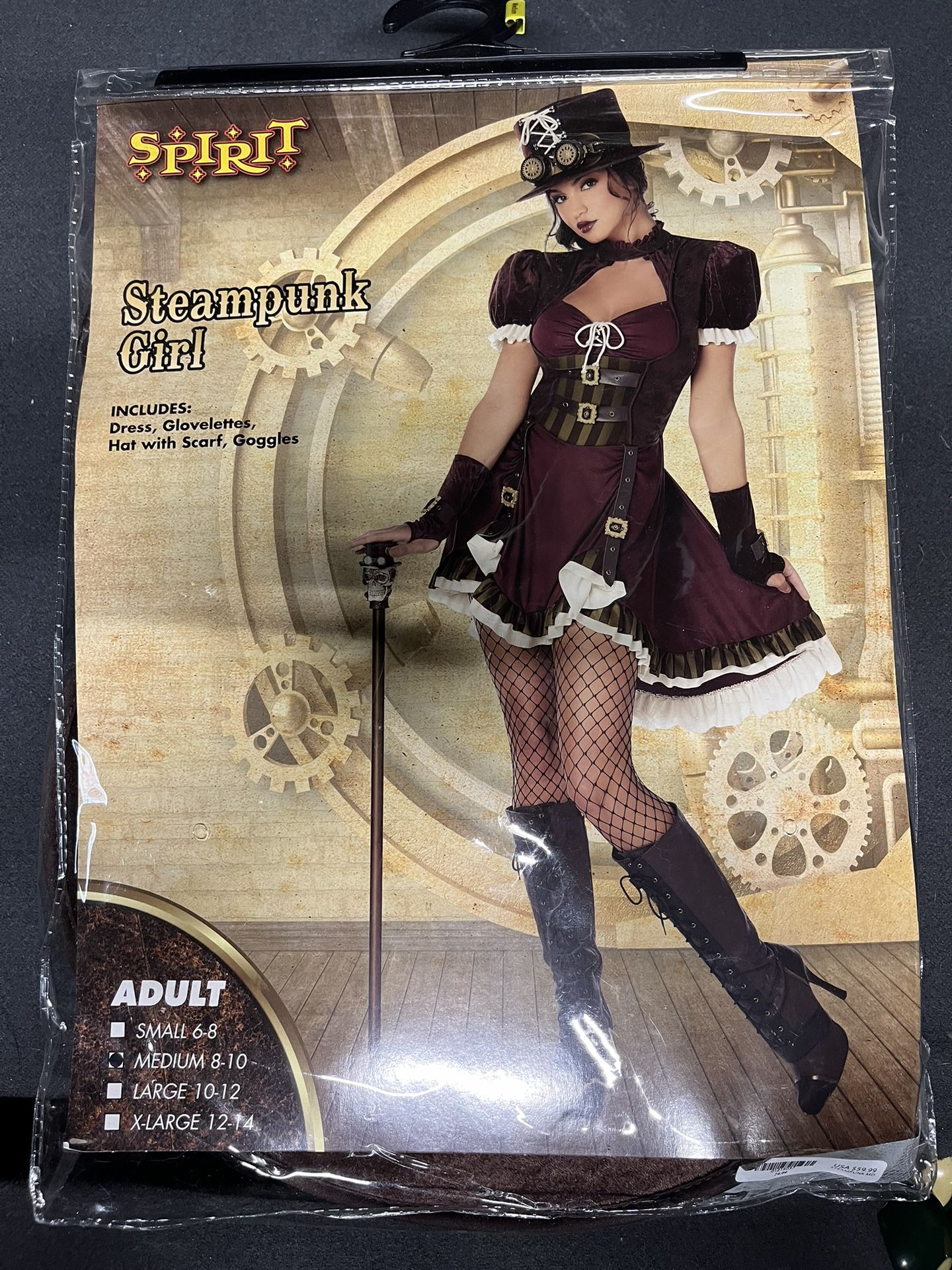 Steampunk Girl Costume