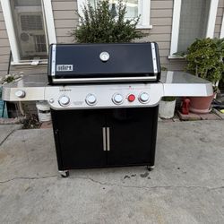 Weber Grill