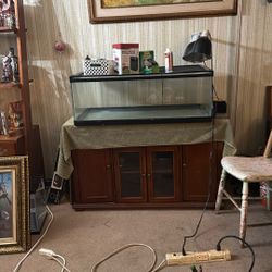 40 Gallon Reptile Tank