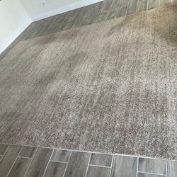 One large size area rug 9x12' great condition just shampooed. No  pets or smokers here