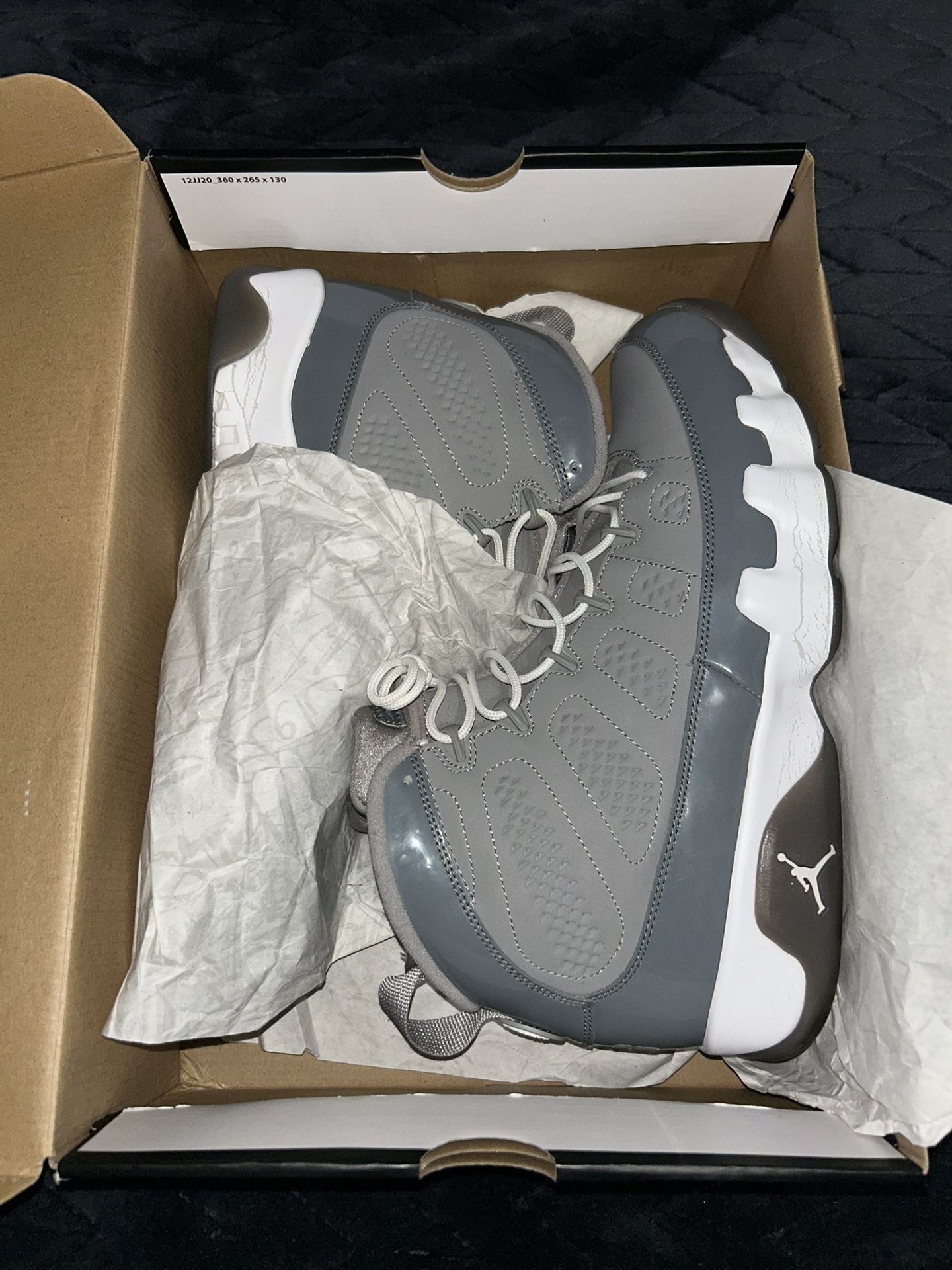 Jordan 10 Cool Grey Size 12