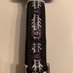 Pets First NFL Nylon Dog Leash one size 60”- 5ft RAIDERS New