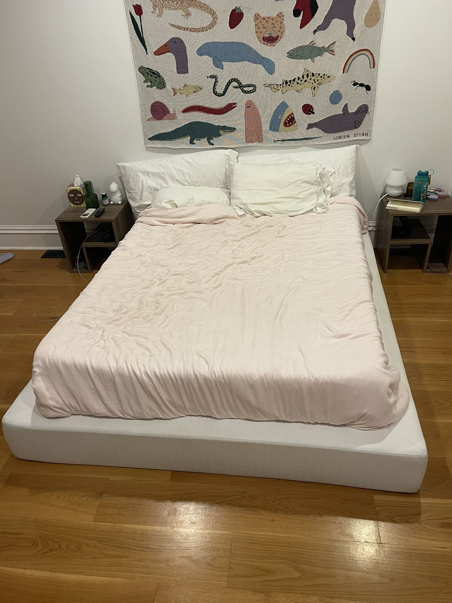 Softframe designs Ultra Queen Platform Bed Frame And Zinus Box Spring