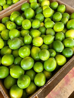 Seedless Limes
