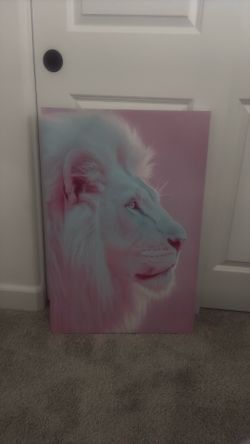 Lion picture