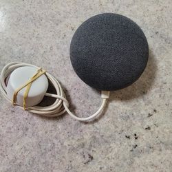 Google Home Mini 1st Gen