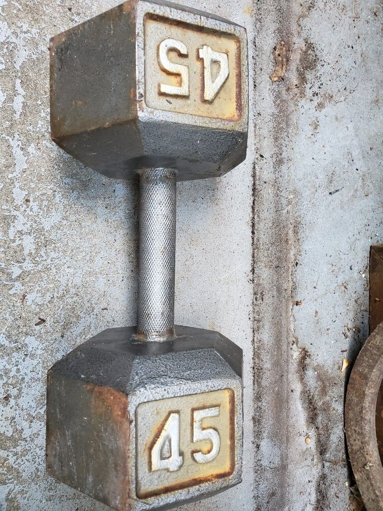 Dumbell Weight 45 lb