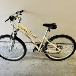 Giant - Boulder SE Bicycle 