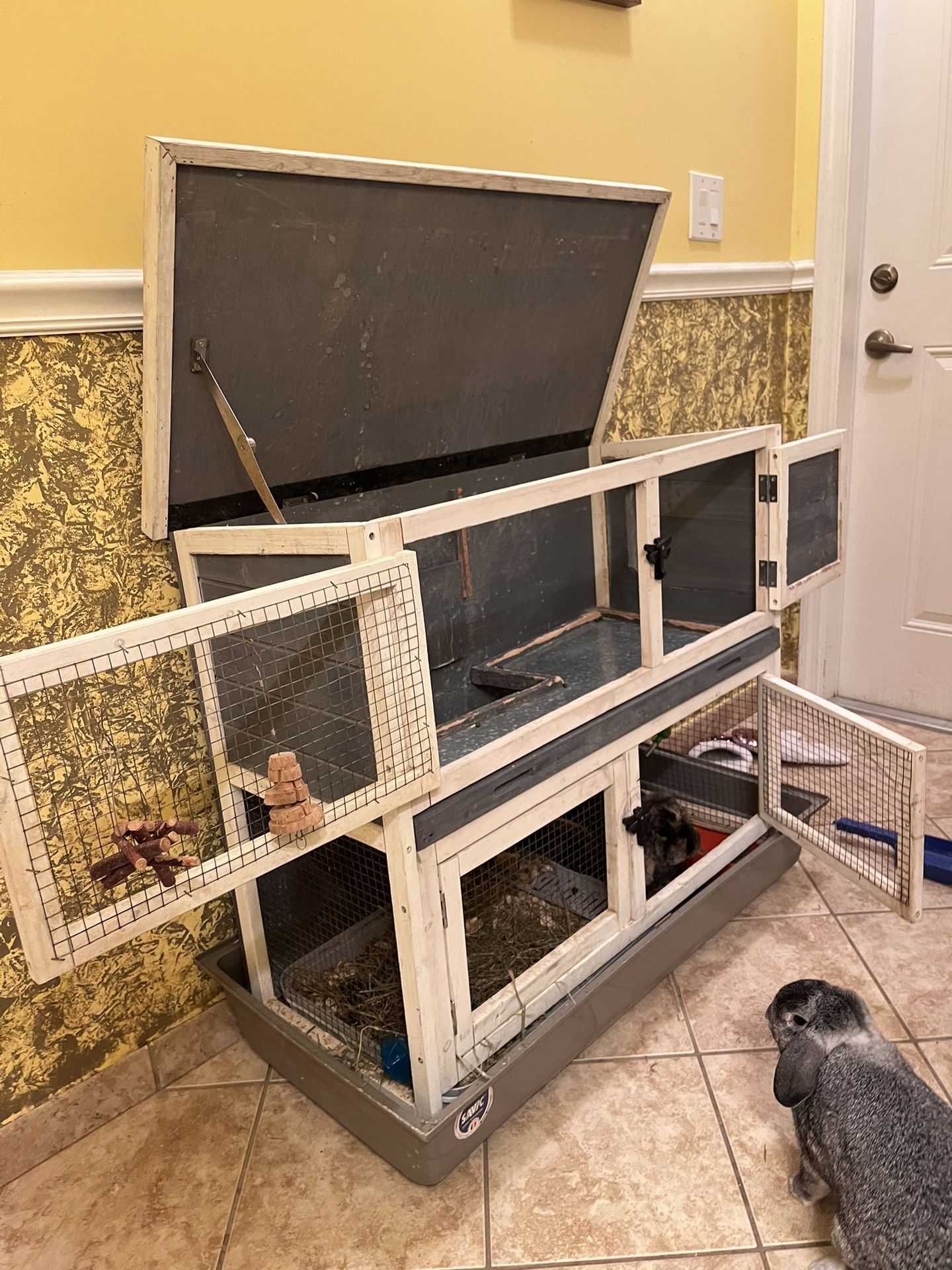 Hutch for 2 Rabbits, Huge 30 Lb Bail Of Hay, Food, Accessories and Carrier 