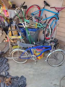 Low rider bike