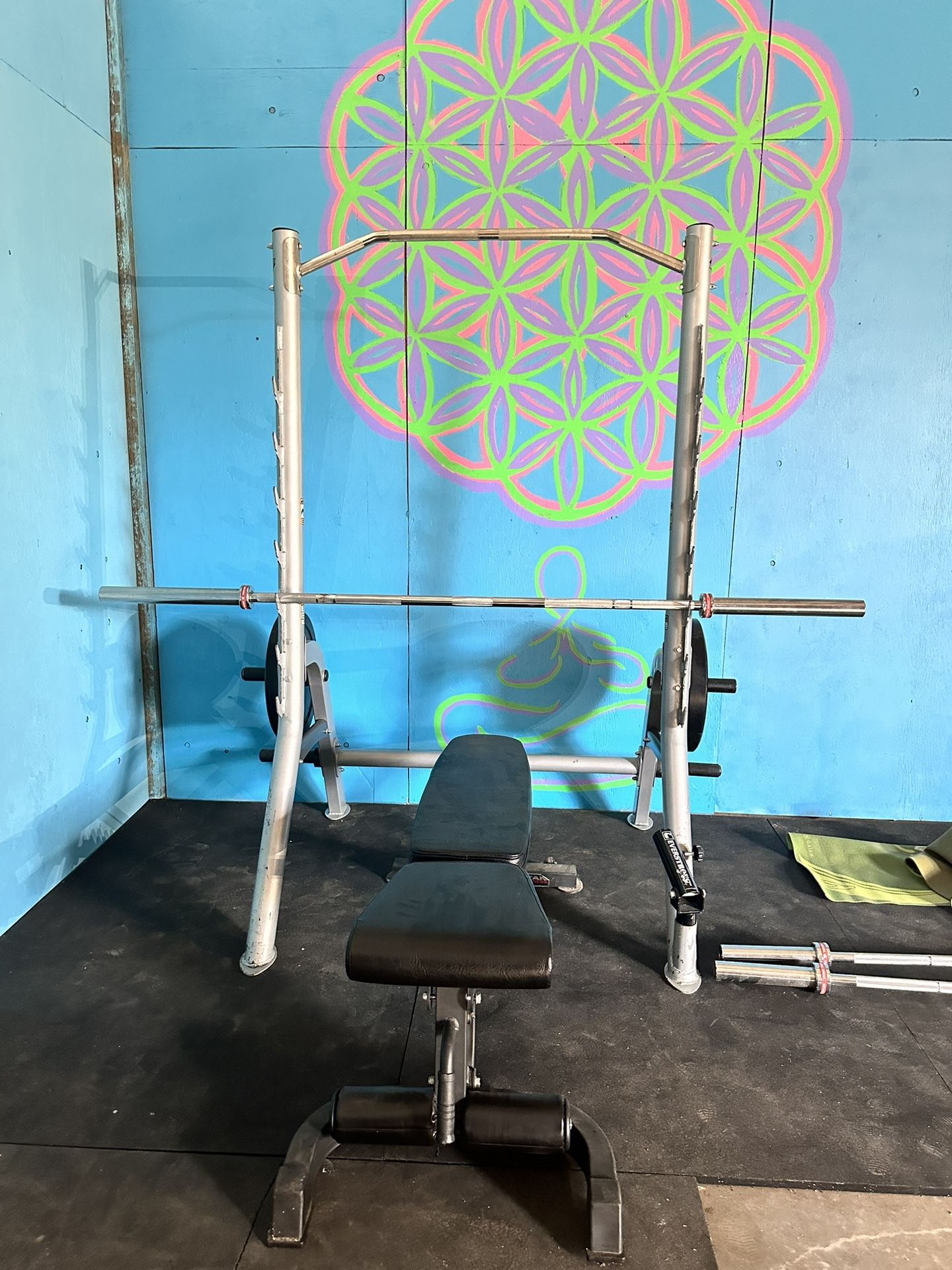 Hoist squat rack