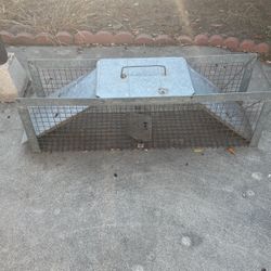 Animal Trap