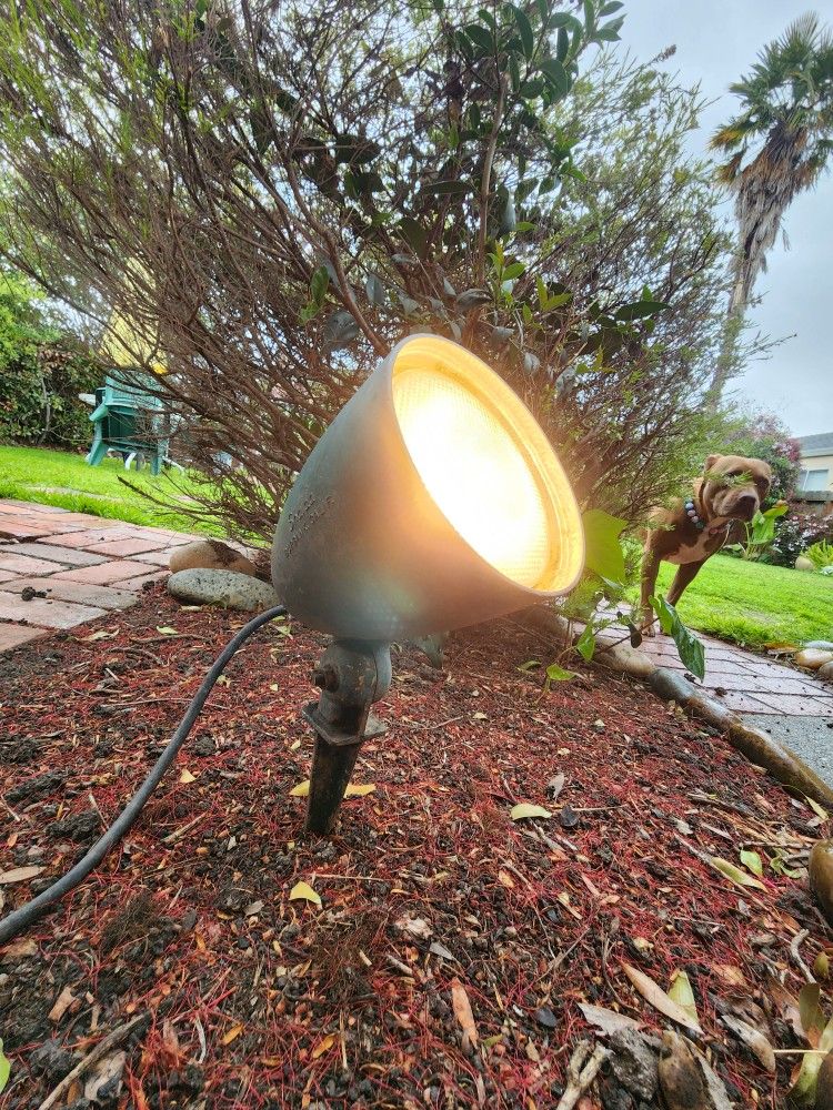 Garden Spotlight