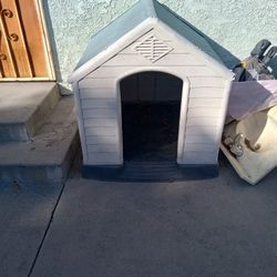 Dog House 