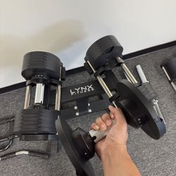 Dumbbells 