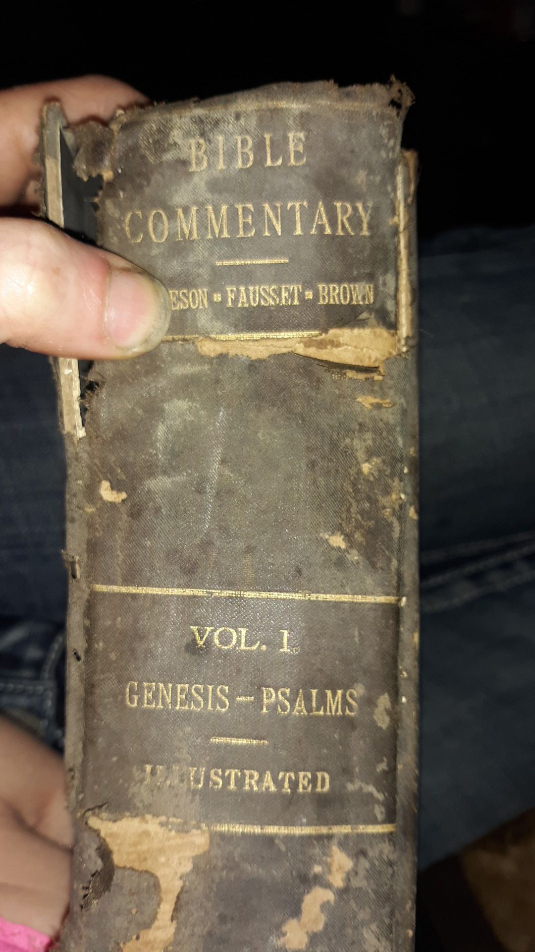 1924 bible