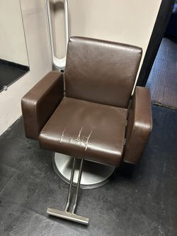 Salon chair