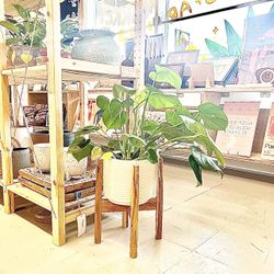 READ AD New Credenza Art Planter Plants Pot Vase Dresser Table Sofa Teak Bookcase Mirror Desk Lamp Pottery Wood Ceramics Couch Loveseat Chair 