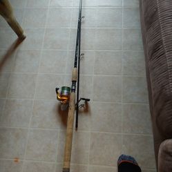 9' Wright And McGill Rod With Shimano Reel