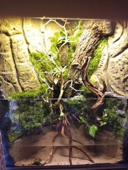 Aquarium Stuff Terrarium Stuff 