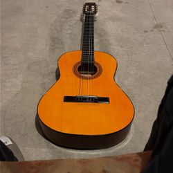 Guitar