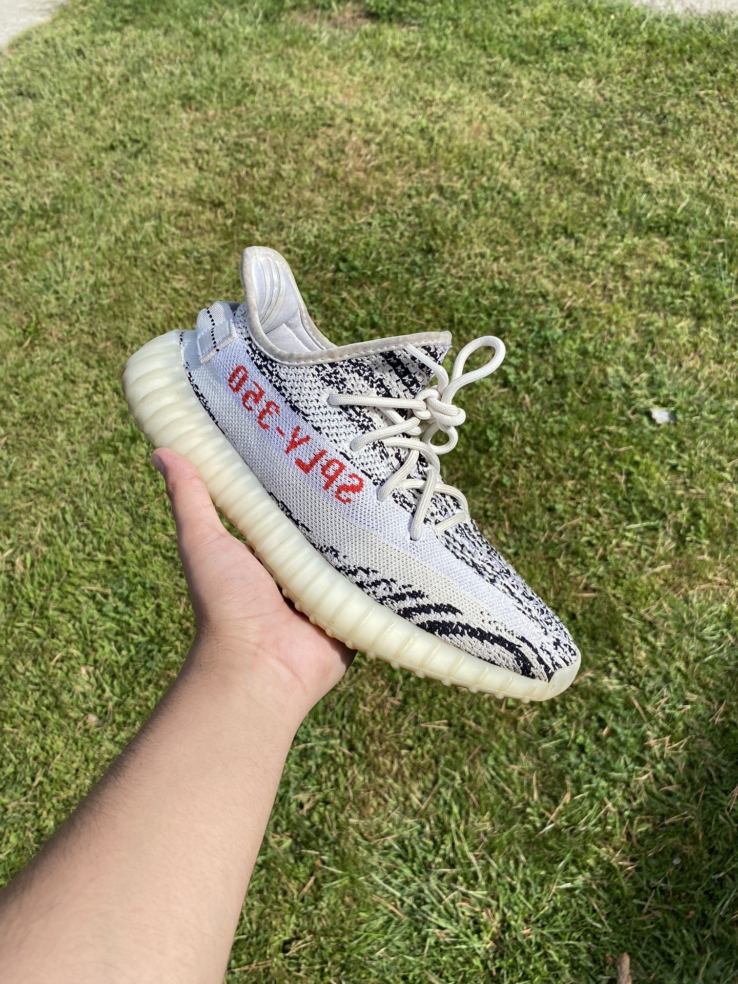 Yeezy Zebra 350’s V2
