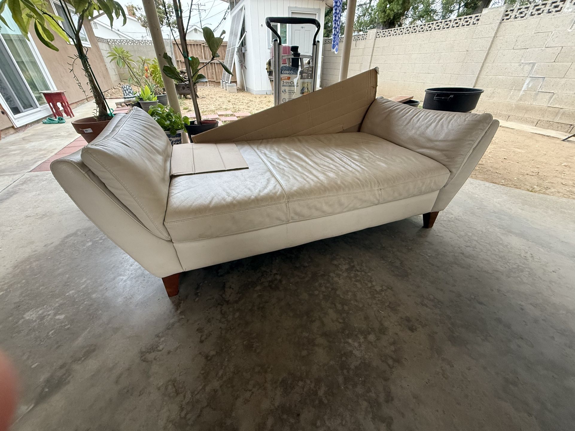Day Bed Or Couch