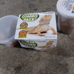 Reptile Meal Bugs
