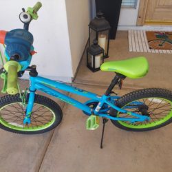 Boy Girl 18" Bike