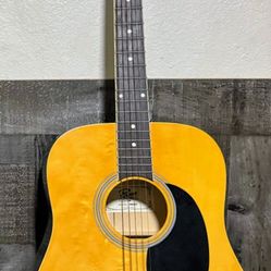 Acoustic Guitar Rogue With Gig Bag