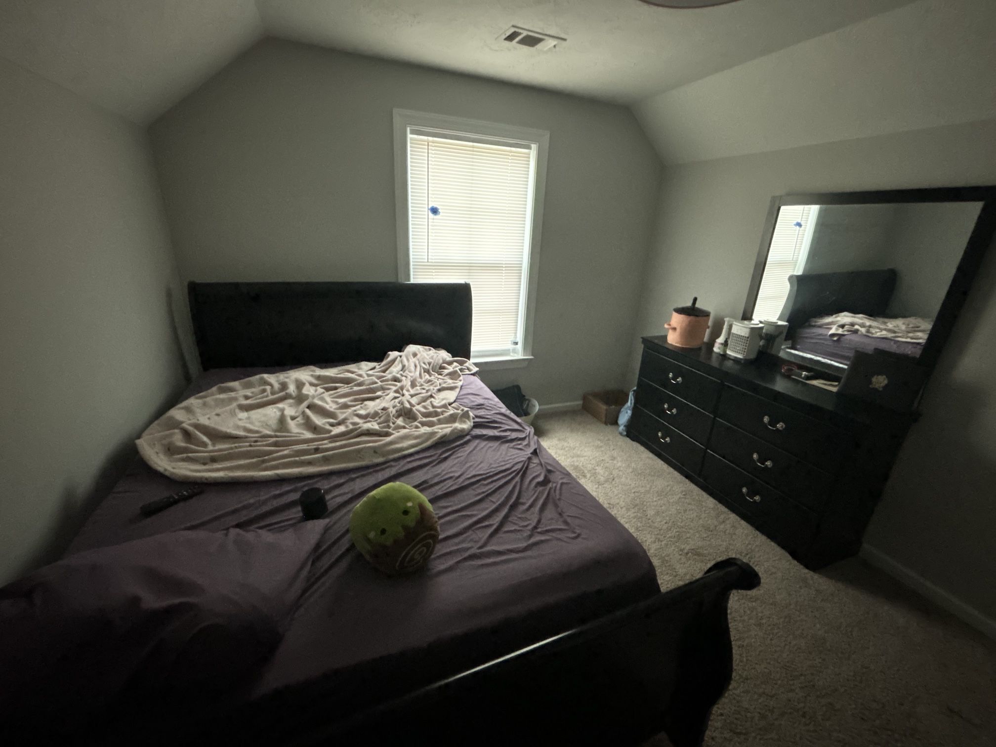 Bed Frame + Dresser/Mirror